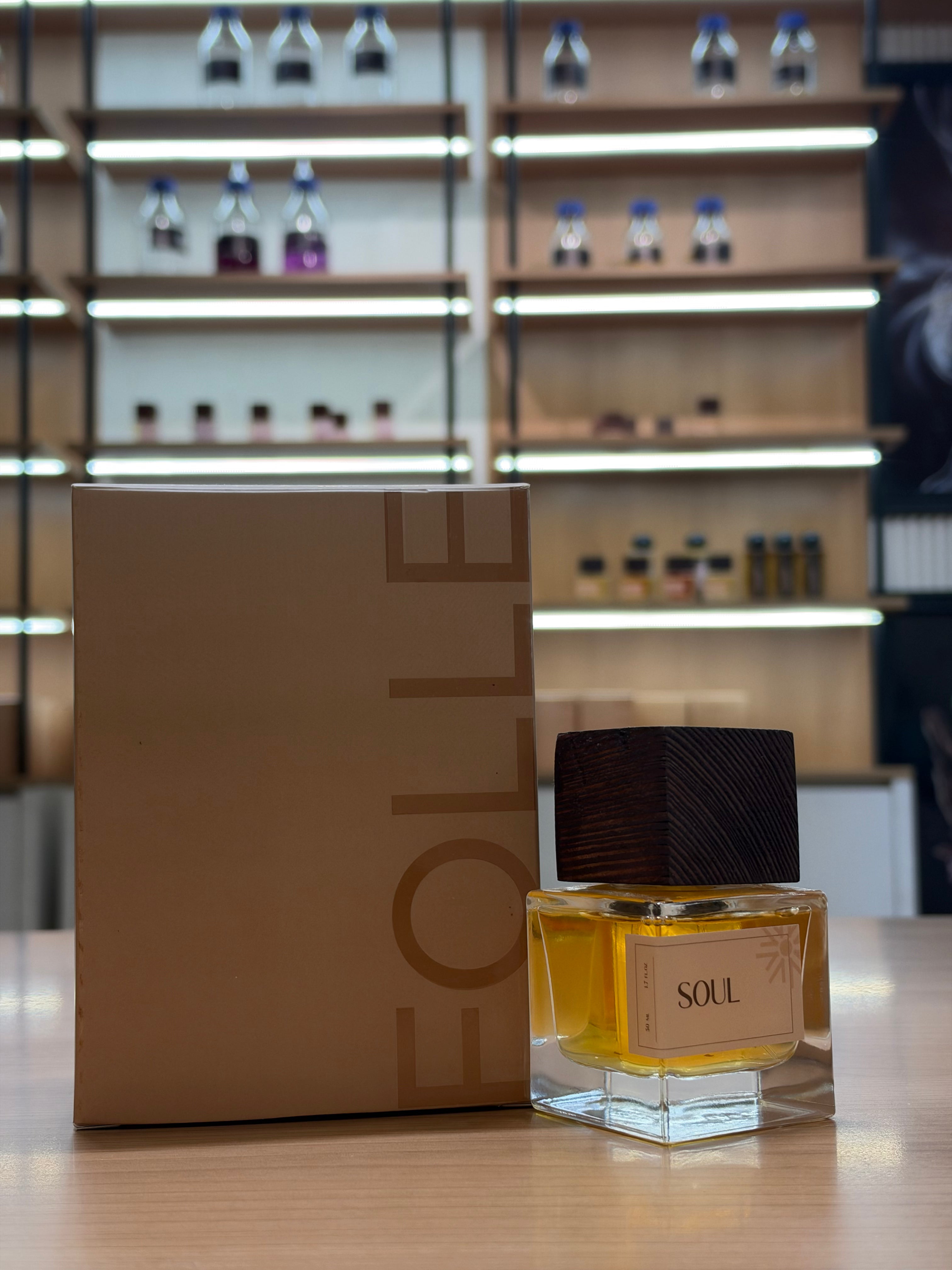 Soul -Inspired By La Vie Est Belle